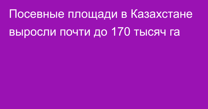 Посевные площади в Казахстане выросли почти до 170 тысяч га