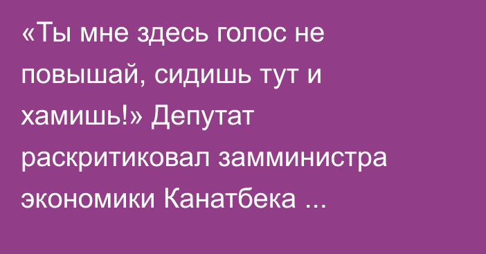 «Ты мне здесь голос не повышай, сидишь тут и хамишь!» Депутат раскритиковал замминистра экономики Канатбека Абдрахманова