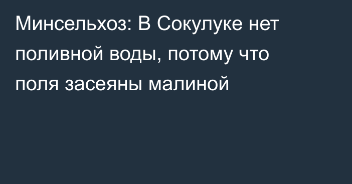 Минсельхоз: В Сокулуке нет поливной воды, потому что поля засеяны малиной