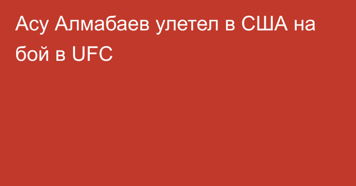 Асу Алмабаев улетел в США на бой в UFC