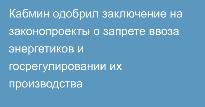 Кабмин одобрил заключение на законопроекты о запрете ввоза энергетиков и  госрегулировании их производства