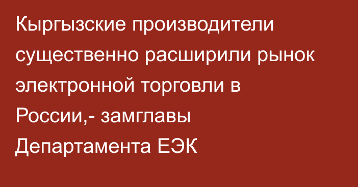 Кыргызские производители существенно расширили рынок электронной торговли в России,-  замглавы Департамента ЕЭК