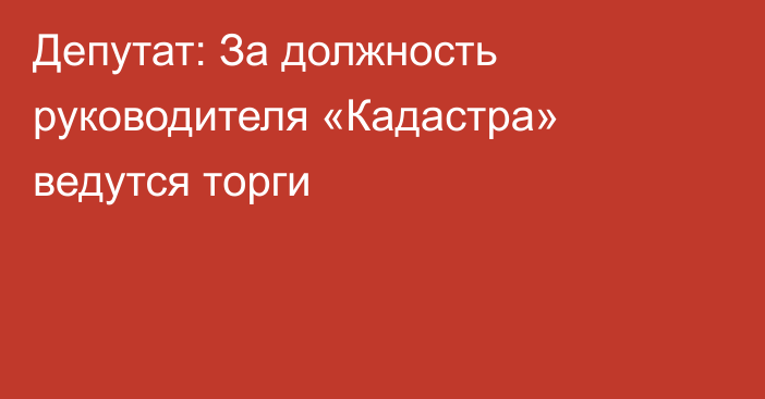 Депутат: За должность руководителя «Кадастра» ведутся торги