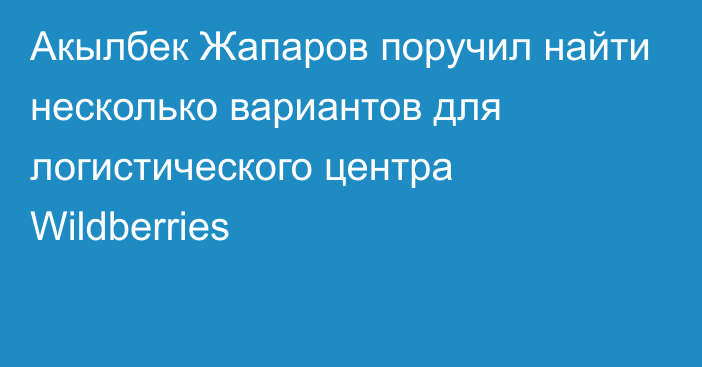 Акылбек Жапаров поручил найти несколько вариантов для логистического центра Wildberries