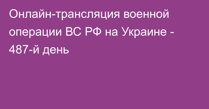 Онлайн-трансляция военной операции ВС РФ на Украине - 487-й день