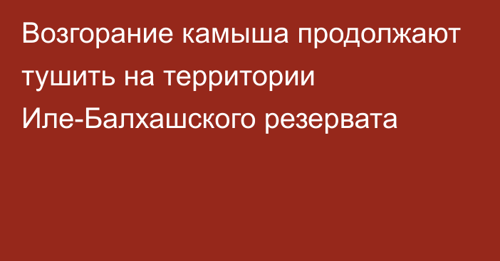 Возгорание камыша продолжают тушить на территории Иле-Балхашского резервата