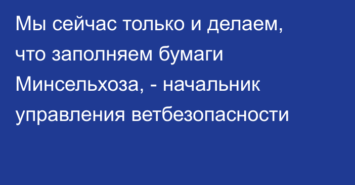 Мы сейчас только и делаем, что заполняем бумаги Минсельхоза, - начальник управления ветбезопасности