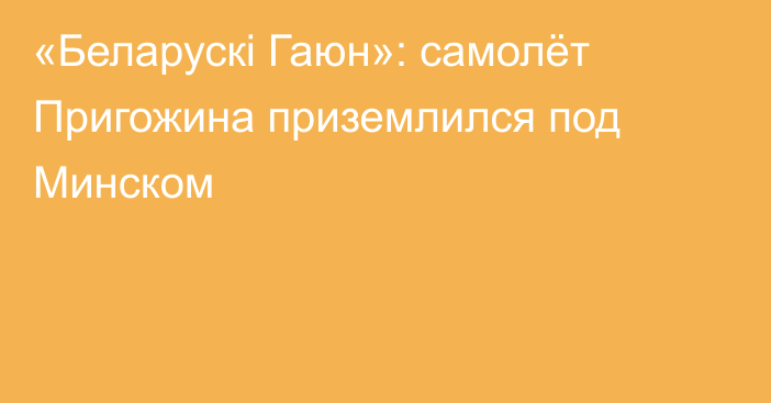 «Беларускі Гаюн»: самолёт Пригожина приземлился под Минском