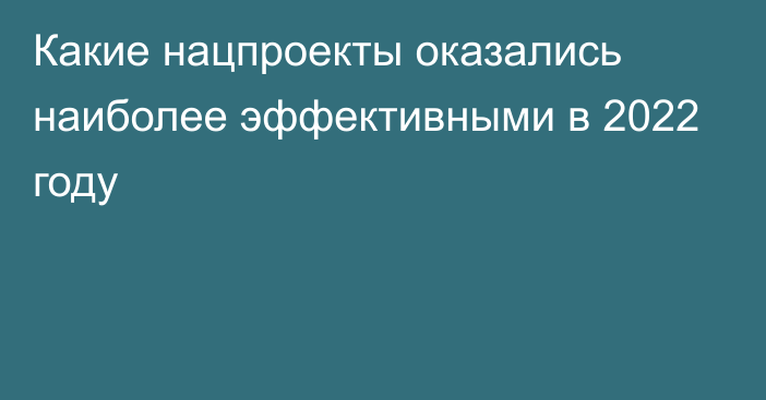 Какие нацпроекты оказались наиболее эффективными в 2022 году