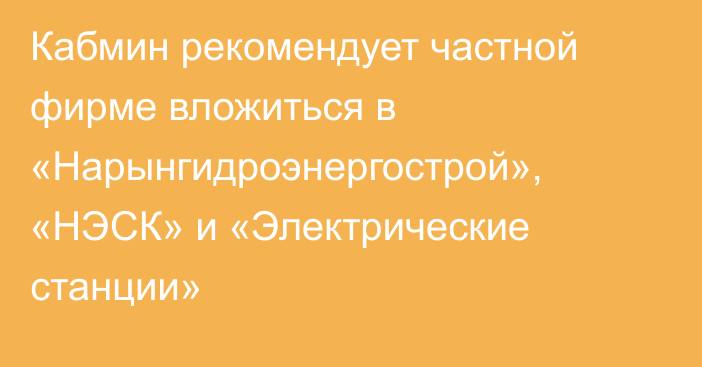 Кабмин рекомендует частной фирме вложиться в «Нарынгидроэнергострой», «НЭСК» и «Электрические станции»