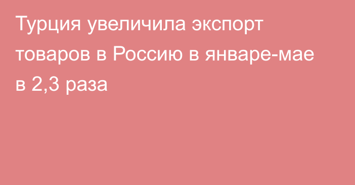 Турция увеличила экспорт товаров в Россию в январе-мае в 2,3 раза