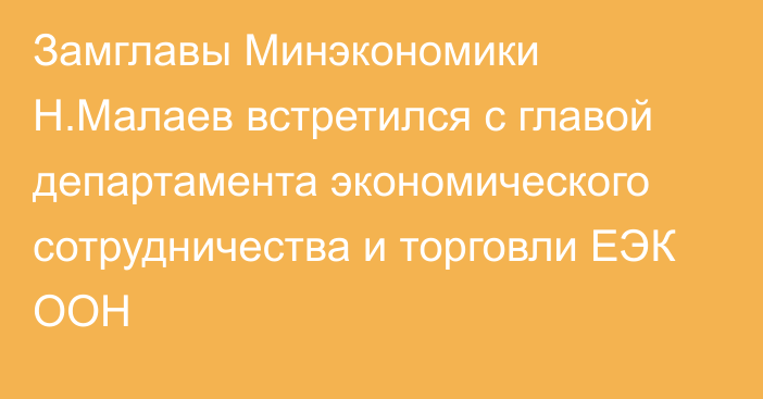 Замглавы Минэкономики Н.Малаев встретился с главой департамента экономического сотрудничества и торговли ЕЭК ООН