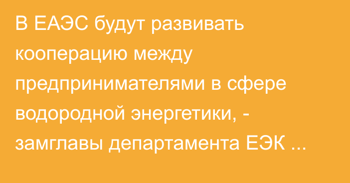 В ЕАЭС будут развивать кооперацию между предпринимателями в сфере водородной энергетики, - замглавы департамента ЕЭК Ж.Азенов