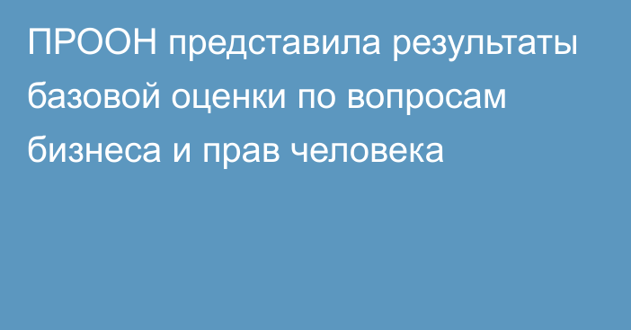 ПРООН представила результаты базовой оценки по вопросам бизнеса и прав человека