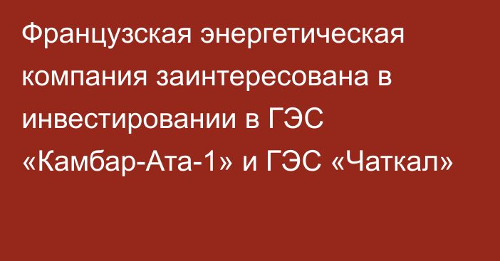 Французская энергетическая компания заинтересована в инвестировании в ГЭС «Камбар-Ата-1» и ГЭС «Чаткал»