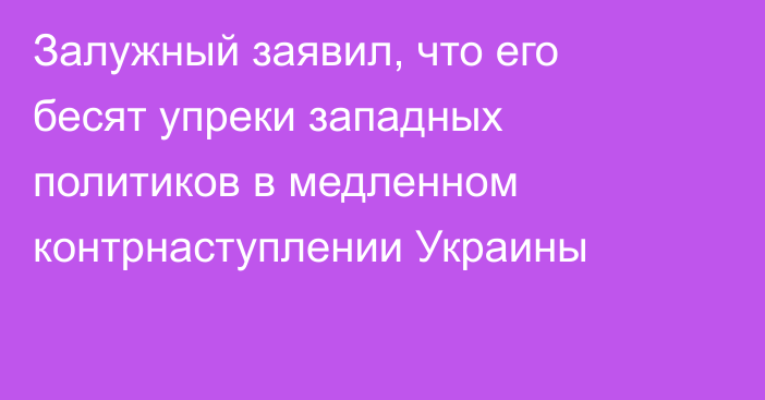 Залужный заявил, что его бесят упреки западных политиков в медленном контрнаступлении Украины