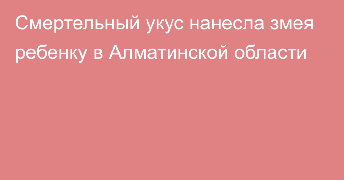 Смертельный укус нанесла змея ребенку в Алматинской области