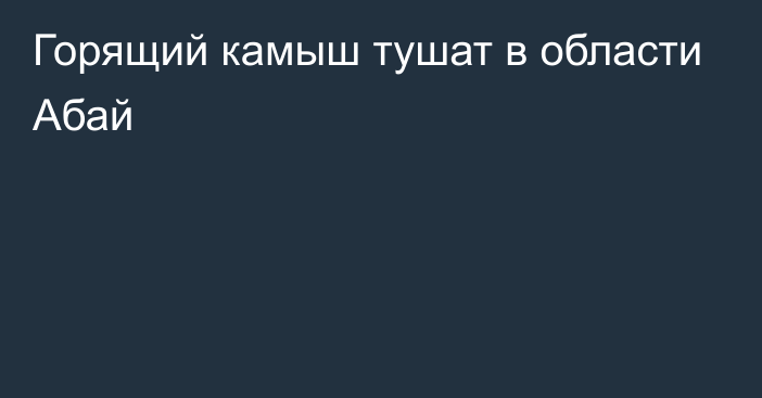 Горящий камыш тушат в области Абай