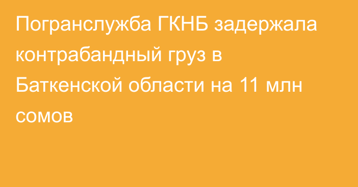 Погранслужба ГКНБ задержала контрабандный груз в Баткенской области на 11 млн сомов