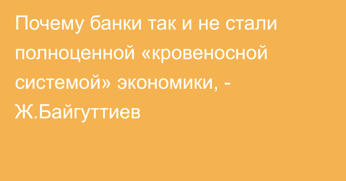 Почему банки так и не стали полноценной «кровеносной системой» экономики, -  Ж.Байгуттиев