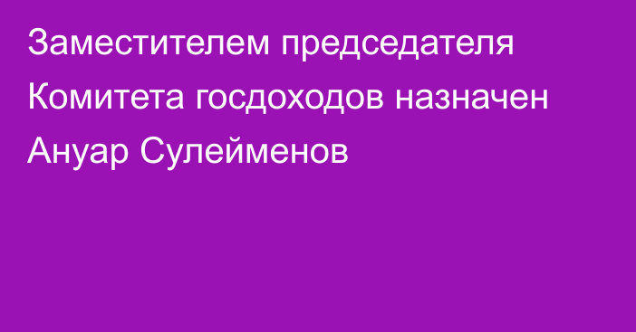 Заместителем председателя Комитета госдоходов назначен Ануар Сулейменов