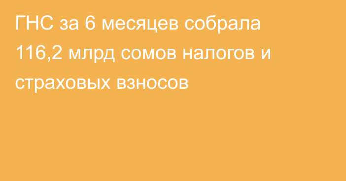 ГНС за 6 месяцев собрала 116,2 млрд сомов налогов и страховых взносов