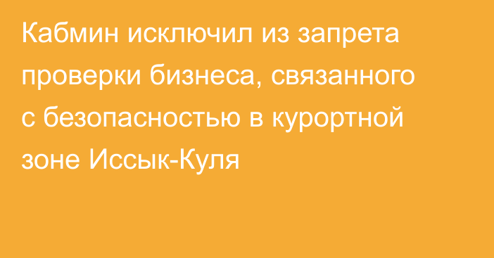 Кабмин исключил из запрета проверки бизнеса, связанного с безопасностью в курортной зоне Иссык-Куля