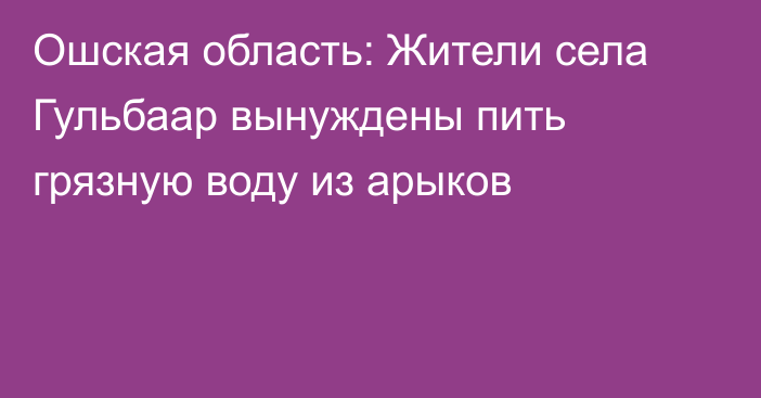 Ошская область: Жители села Гульбаар вынуждены пить грязную воду из арыков