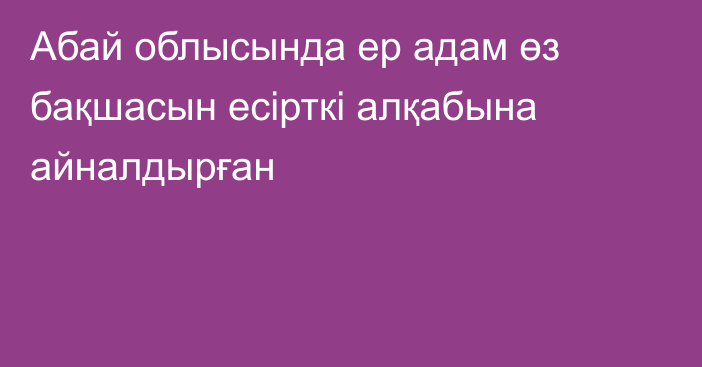 Абай облысында ер адам өз бақшасын есірткі алқабына айналдырған