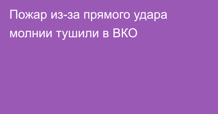 Пожар из-за прямого удара молнии тушили в ВКО