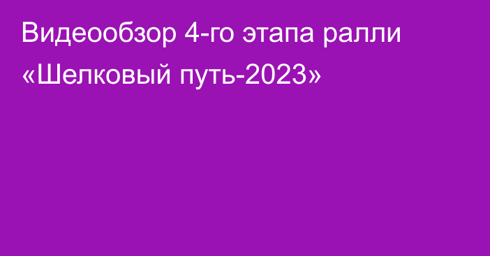 Видеообзор 4-го этапа ралли «Шелковый путь-2023»