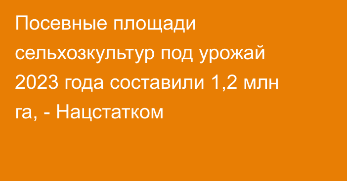 Посевные площади сельхозкультур под урожай 2023 года составили 1,2 млн га, - Нацстатком