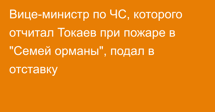 Вице-министр по ЧС, которого отчитал Токаев при пожаре в 