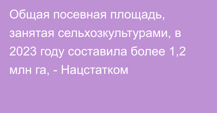 Общая посевная площадь, занятая сельхозкультурами, в 2023 году составила более 1,2 млн га, - Нацстатком