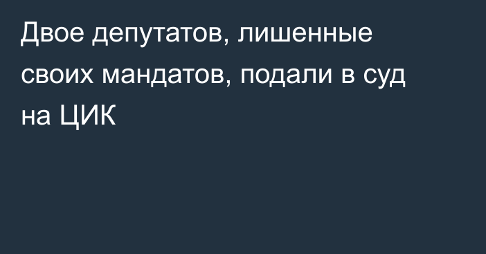 Двое депутатов, лишенные своих мандатов, подали в суд на ЦИК