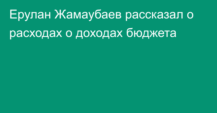 Ерулан Жамаубаев рассказал о расходах о доходах бюджета