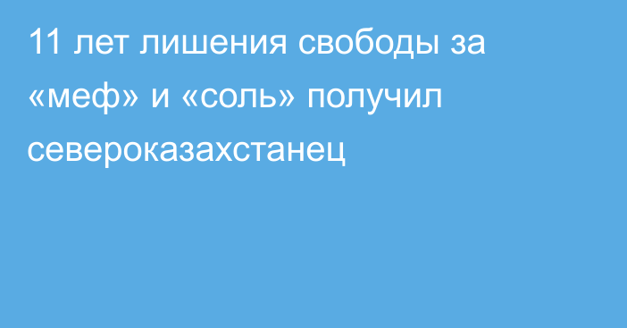 11 лет лишения свободы за «меф» и «соль» получил североказахстанец