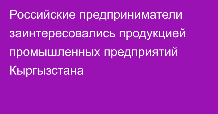 Российские предприниматели заинтересовались продукцией промышленных предприятий Кыргызстана