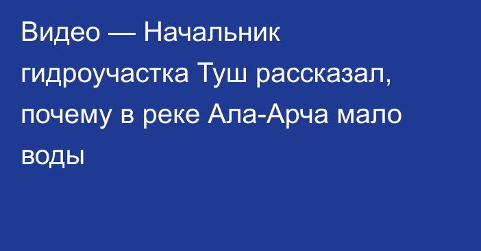 Видео — Начальник гидроучастка Туш рассказал, почему в реке Ала-Арча мало воды