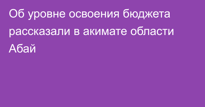 Об уровне освоения бюджета рассказали в акимате области Абай