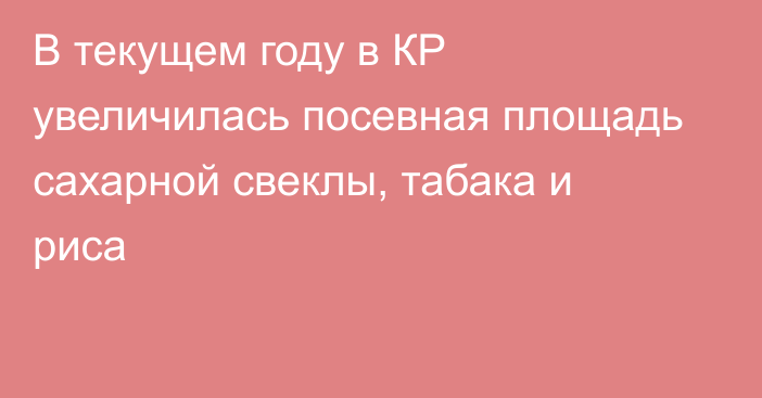 В текущем году в КР увеличилась посевная площадь сахарной свеклы, табака и риса