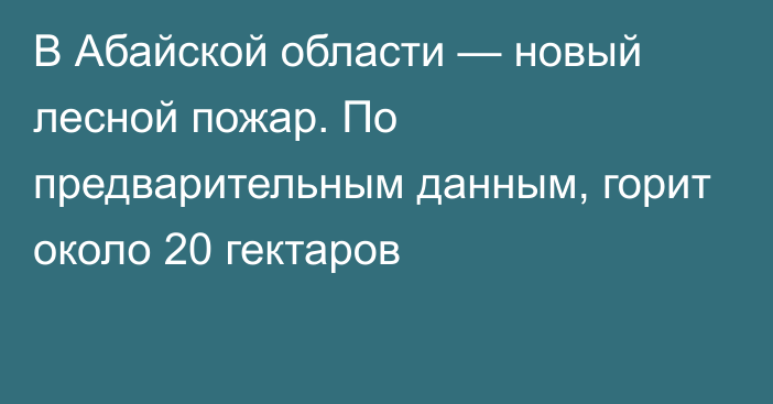 В Абайской области — новый лесной пожар. По предварительным данным, горит около 20 гектаров