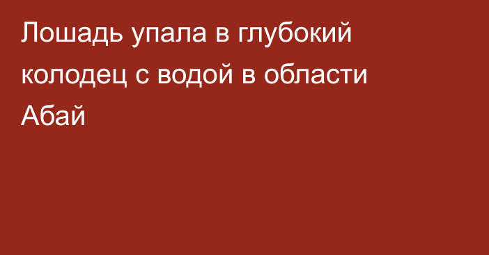 Лошадь упала в глубокий колодец с водой в области Абай