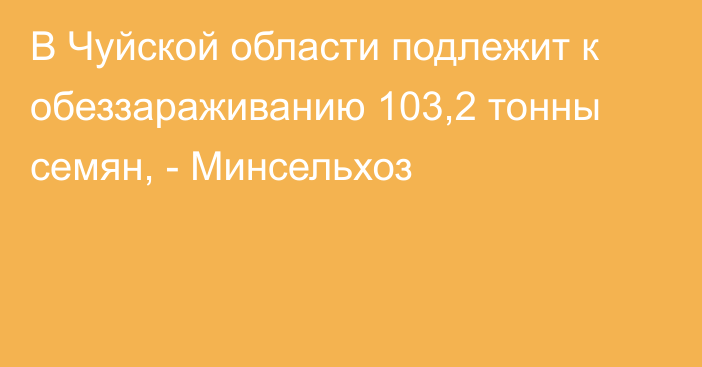 В Чуйской области подлежит к обеззараживанию 103,2 тонны семян, - Минсельхоз