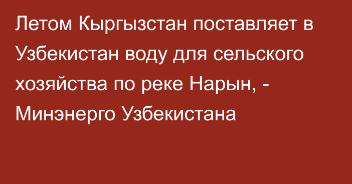 Летом Кыргызстан поставляет в Узбекистан воду для сельского хозяйства по реке Нарын, - Минэнерго Узбекистана