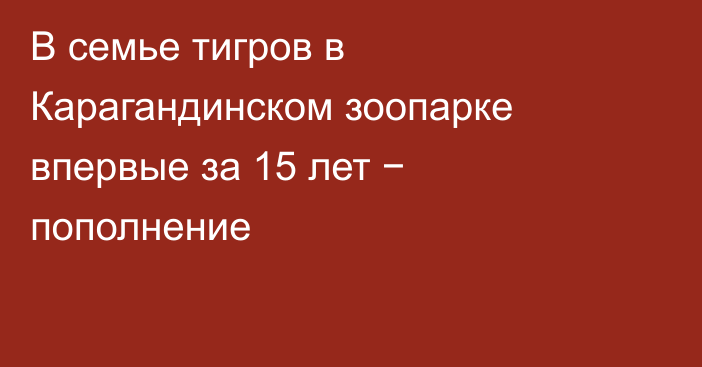 В семье тигров в Карагандинском зоопарке впервые за 15 лет − пополнение