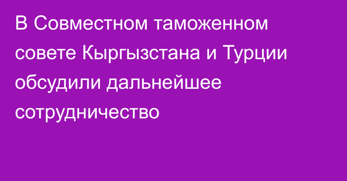 В Совместном таможенном совете Кыргызстана и Турции обсудили дальнейшее сотрудничество