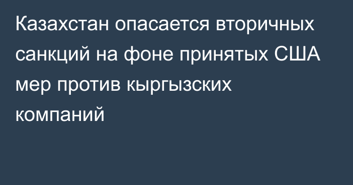 Казахстан опасается вторичных санкций на фоне принятых США мер против кыргызских компаний