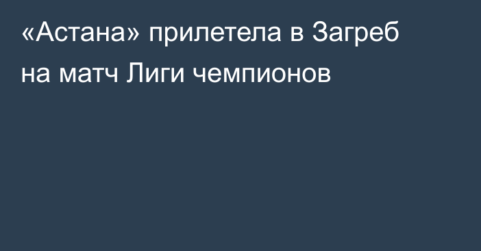 «Астана» прилетела в Загреб на матч Лиги чемпионов