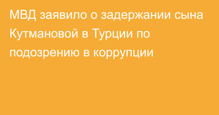 МВД заявило о задержании сына Кутмановой в Турции по подозрению в коррупции